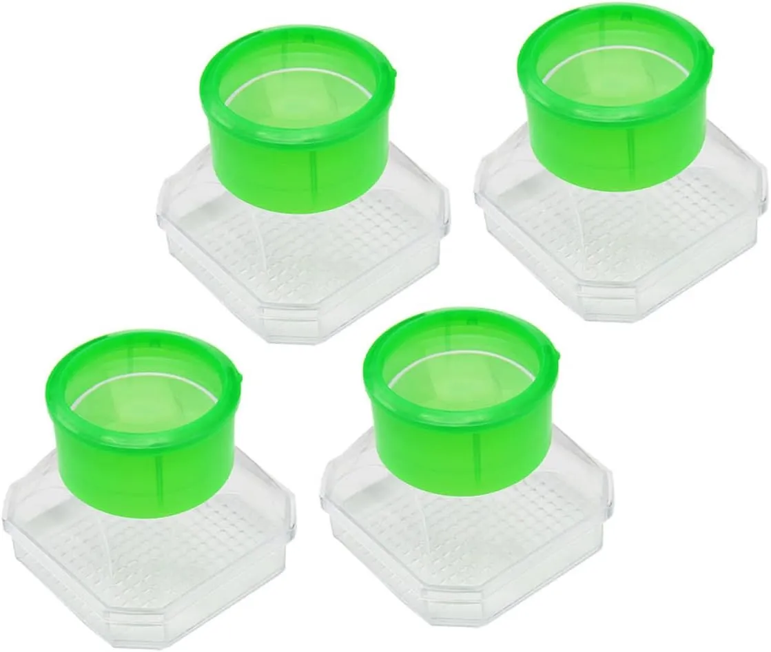 4pcs Observation Box with Magnifier for Educational Insect Exploration Case High Transparency for Easy to Carry and Store