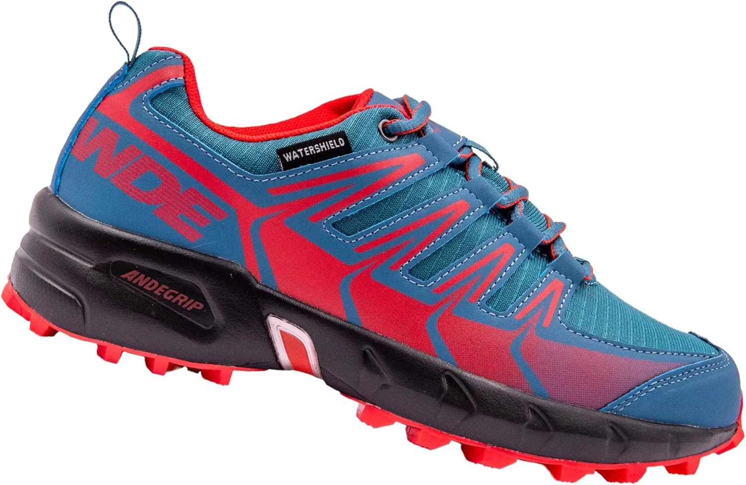 Ande Men's Trekking Shoes