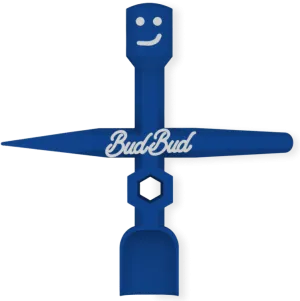 BIGBUD - Blue