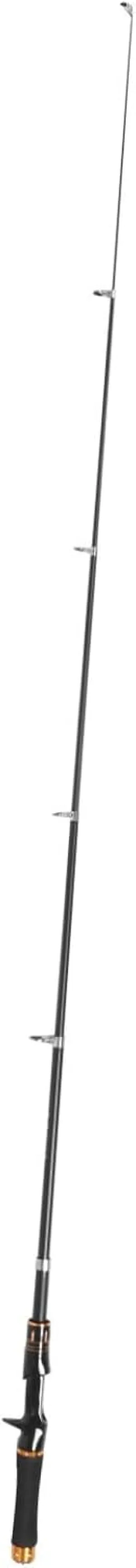 Extendable Saltwater Fishing Pole Telescopic Rod for Freshwater Lightweight and Portable