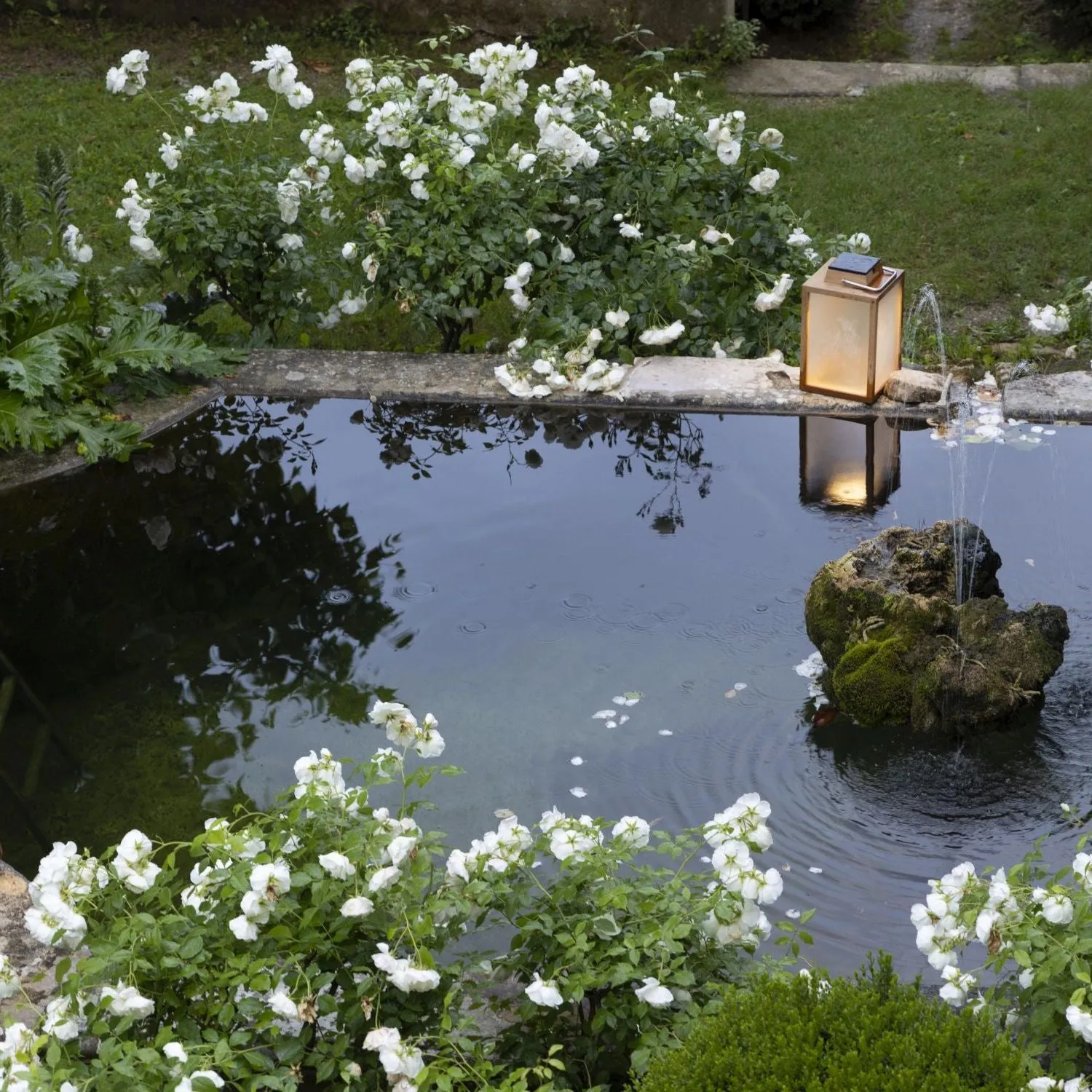 Les Jardins Tecka Solar Lantern