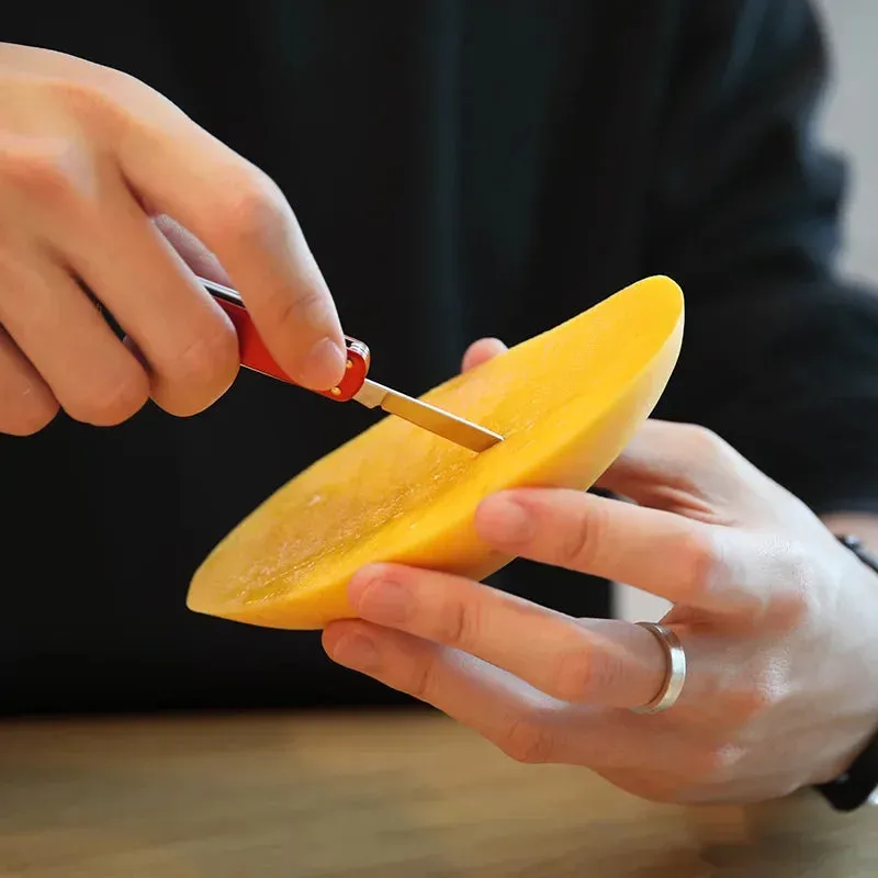 NEXTOOL EDC Mini Knife Multitool with Scissors and Screwdriver for Outdoor Use