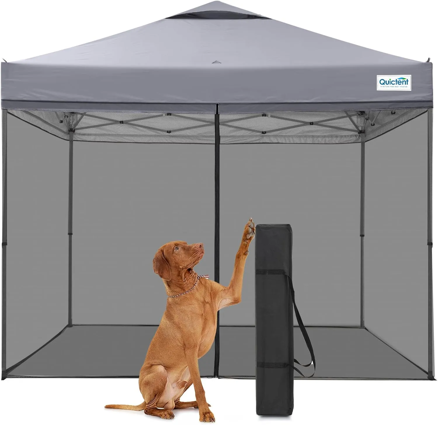 Quictent 10x10 Pop Up Screened Canopy Tent, Instant Setup Gazebo for 1 Person with Netting, Portable & Compact, Waterproof & UV Protection, Ideal for Camping, Beach, Parties, and Outdoor Events