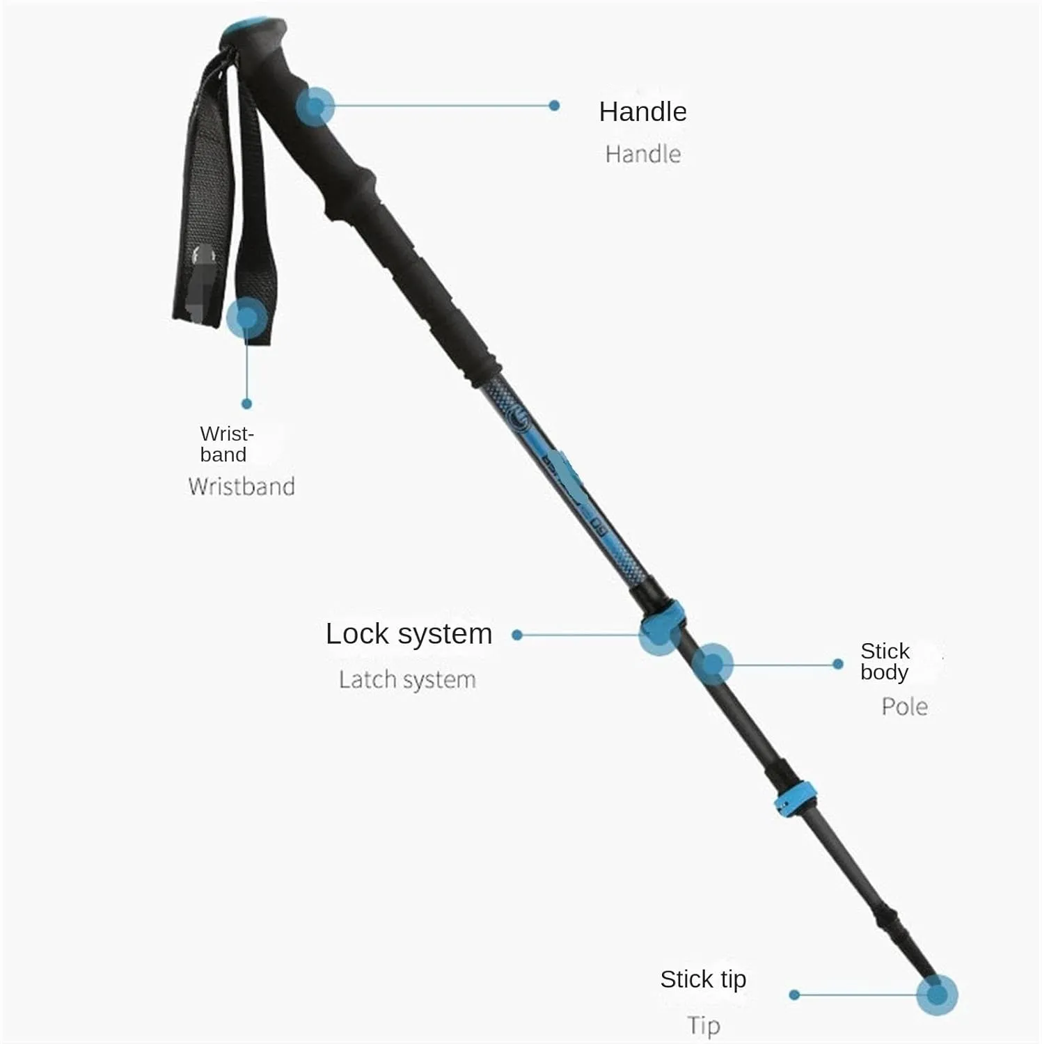 Travel Trekking Pole Aluminum Alloy Trekking Poles Lightweight Strong Hiking Pole for Camping Mountaining Outdoor Activities(Blue)