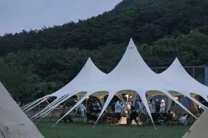 Versatile Portable Canopy Tent for Family Adventures, Waterproof and Easy to Setup, for Camping, Picnics, and Outdoor Gatherings